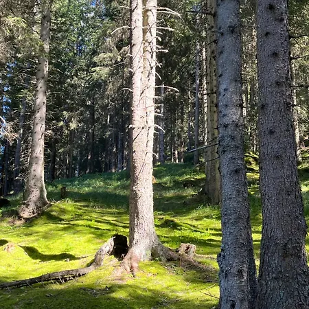 Vakantiehuis Casa Runs *